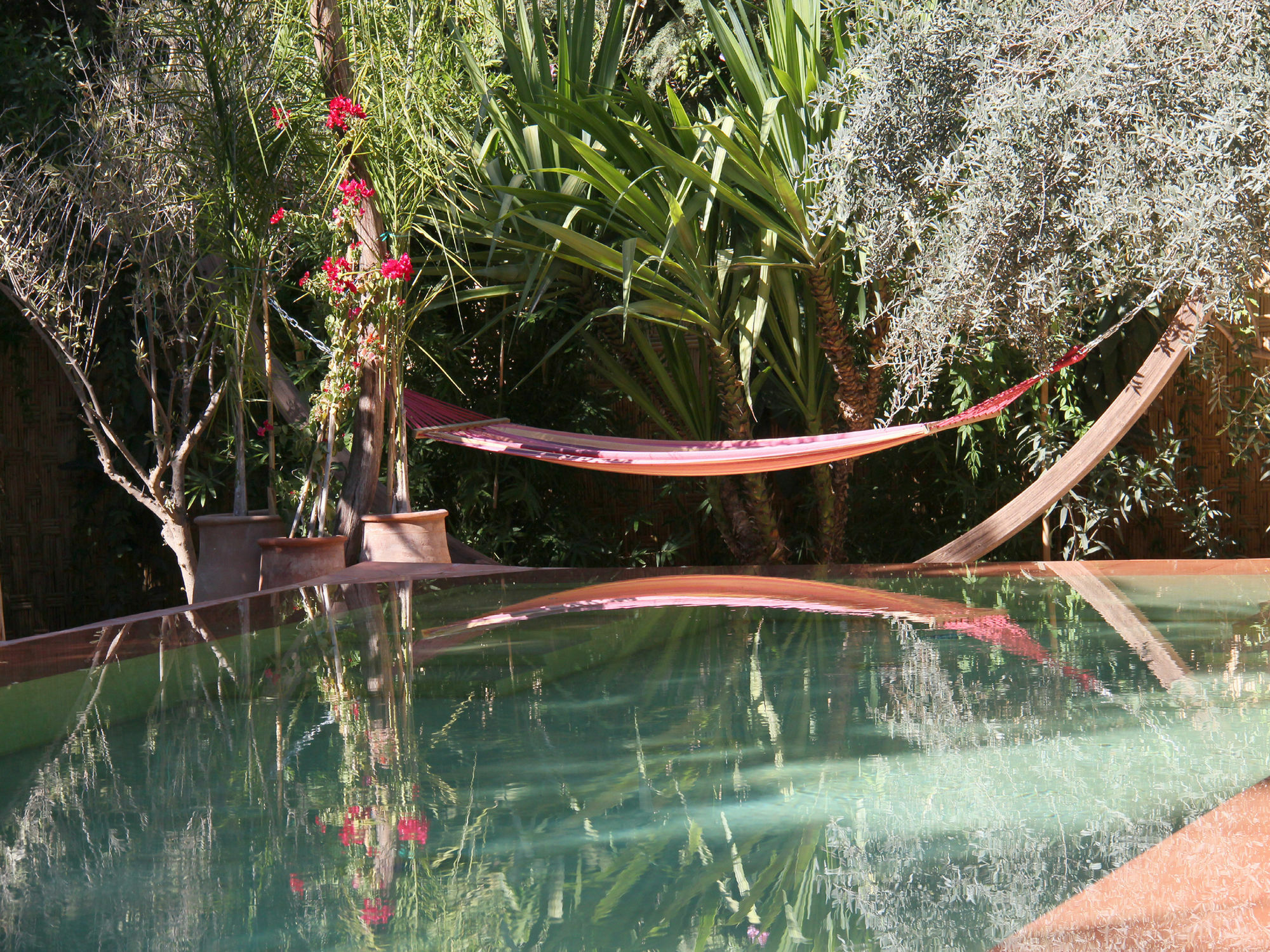 Le Jardin Touagana - Campement & Lodge Touggana Buitenkant foto
