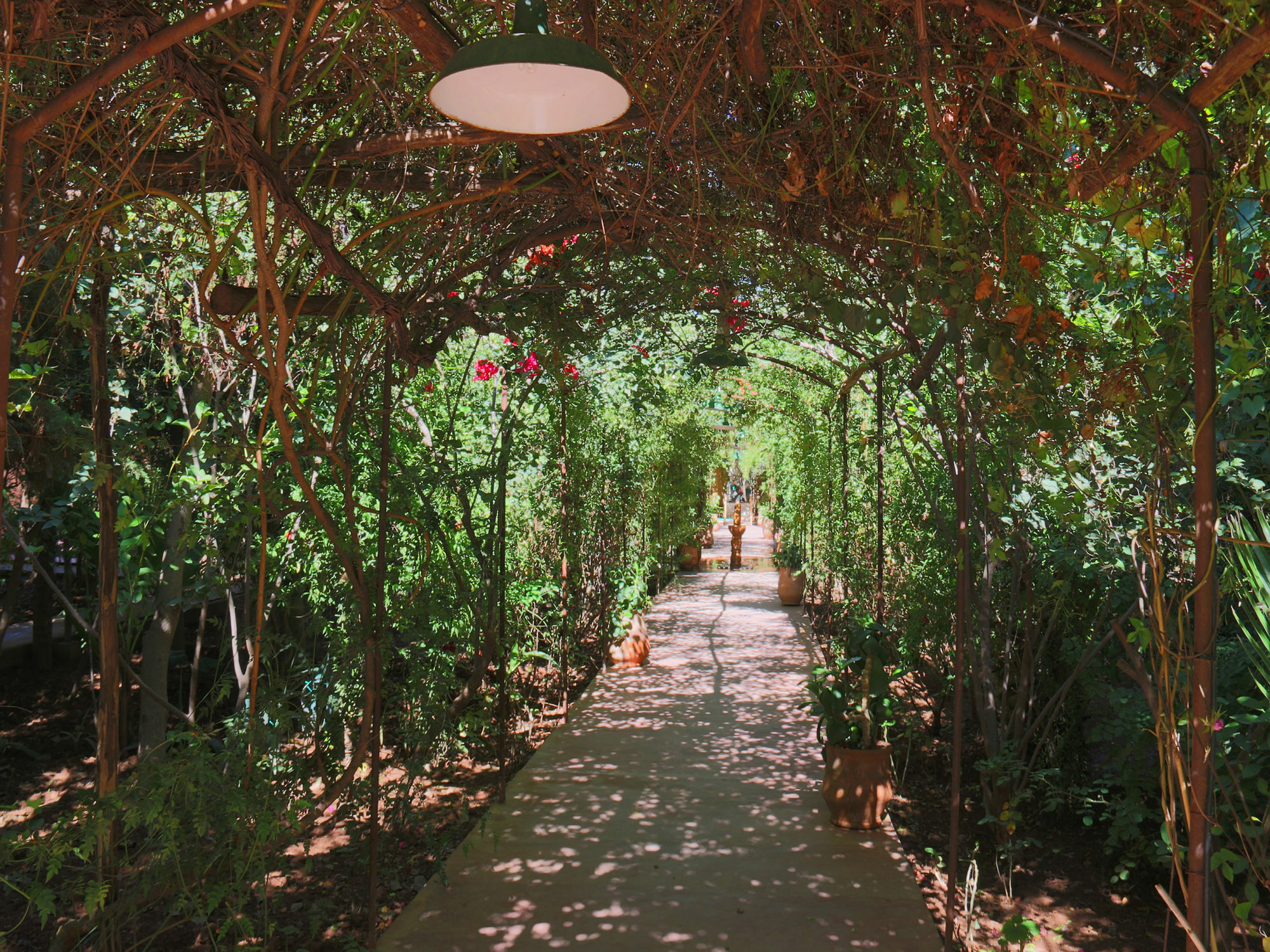 Le Jardin Touagana - Campement & Lodge Touggana Buitenkant foto
