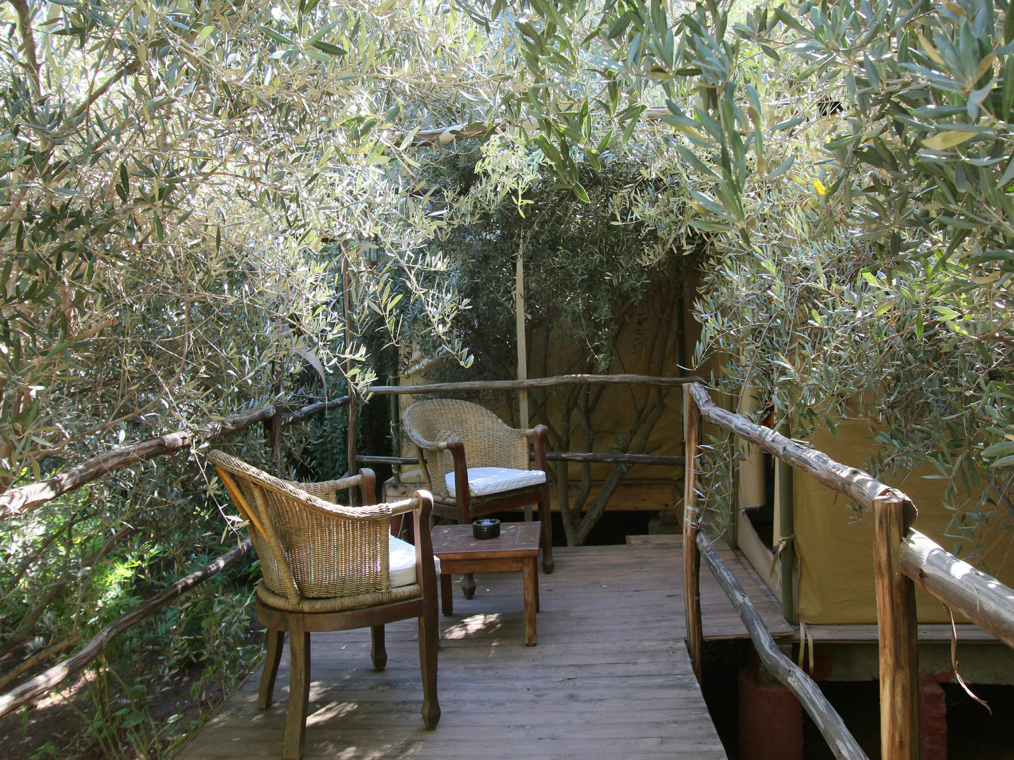 Le Jardin Touagana - Campement & Lodge Touggana Buitenkant foto